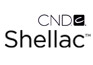 CND-shellac-belfast-northern-ireland-county-down-antrim